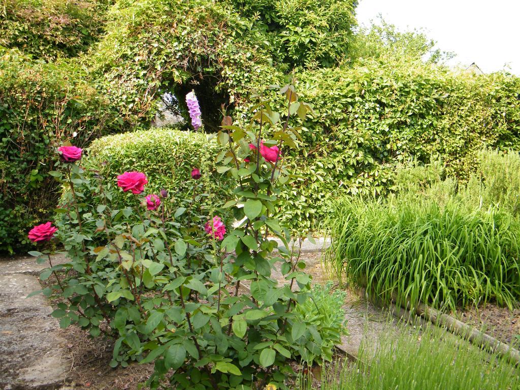 Ballas Farm Country Guest House Bridgend  Exterior foto